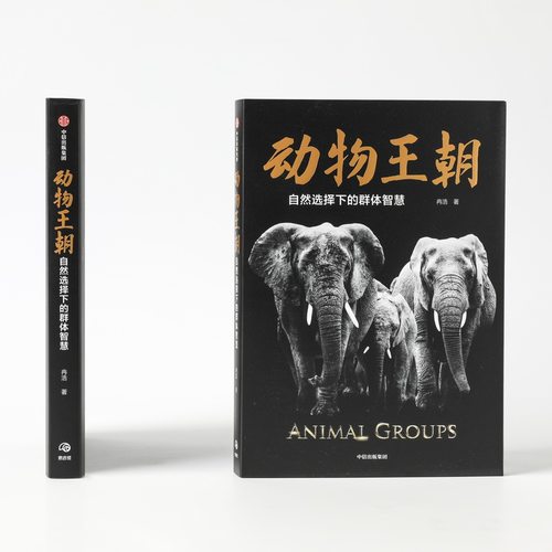 动物王朝 自然选择下的群体智慧 冉浩 著  动物群体行为 动物世界 博物君张辰亮 大自然智慧  中信出版社 - 图0