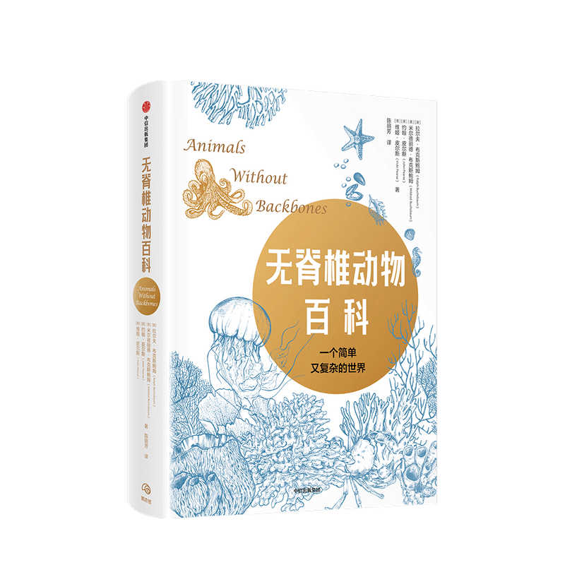 脊椎动物 新人首单立减十元 21年8月 淘宝海外 脊椎动物 新人首单立减十元 21年8月 淘宝海外