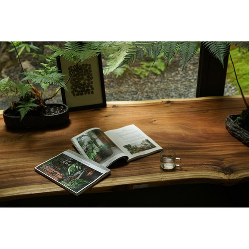 在家森呼吸 室内绿植手册茹茹萍 著 从家居风格搭配 日常养护到植物手作 打造森林系小家 养花书籍 中信 - 图2