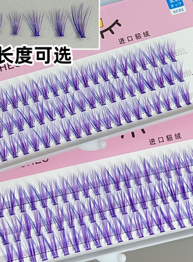 混彩分段朵毛鱼尾单簇假睫毛
