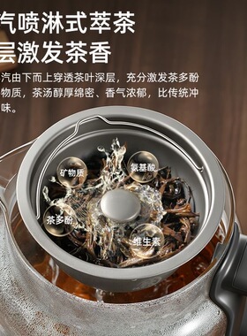 纯钛蒸汽煮茶器壶自动上水萃茶机