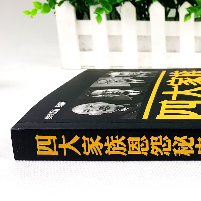 正版 四大家族恩怨秘史 宋美龄 蒋介石 孔氏宋氏蒋氏陈氏四大家族档案全揭密中国历史人物传记故事书籍 - 图0