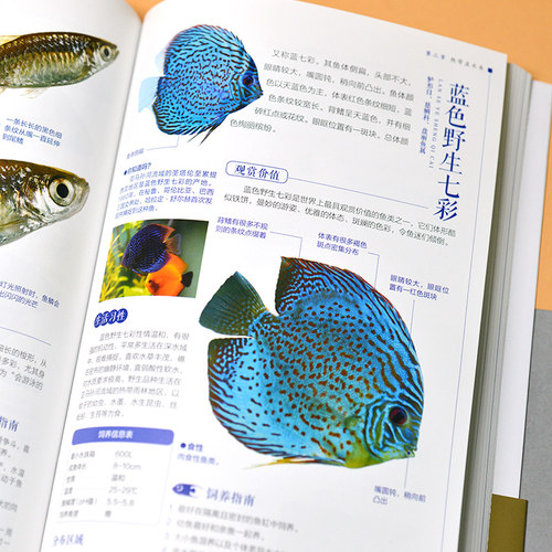 新书正版 图解观赏鱼完全图鉴 海洋生物鱼类大百科热带海水鱼淡水鱼冷水性鱼等 家庭喂养鱼宠物鱼喂养指南学会鉴别观赏鱼正确饲养 - 图2