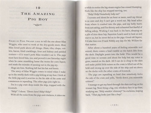 荷马菲格真实的冒险 英文原版 The Mostly True Adventures of Homer P Figg 纽伯瑞银奖 儿童桥梁章节书 英文版英语课外阅读 - 图0