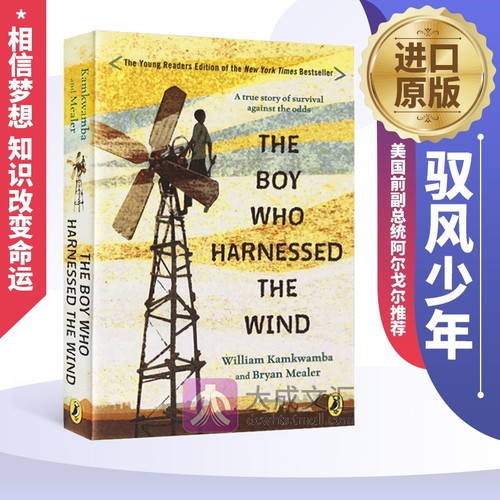 驭风少年英文原版TheBoyWhoHarnessedtheWind美国前副总统阿尔戈尔推荐纽约时报热销书英文版英语小说