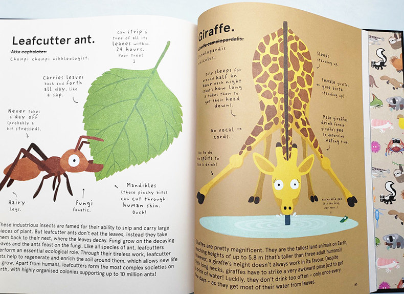 英文原版 The World's Most Pointless Animals Or are They 世上至没用的动物 或真如此吗 诙谐古怪 插图色彩丰富 进口英语书籍