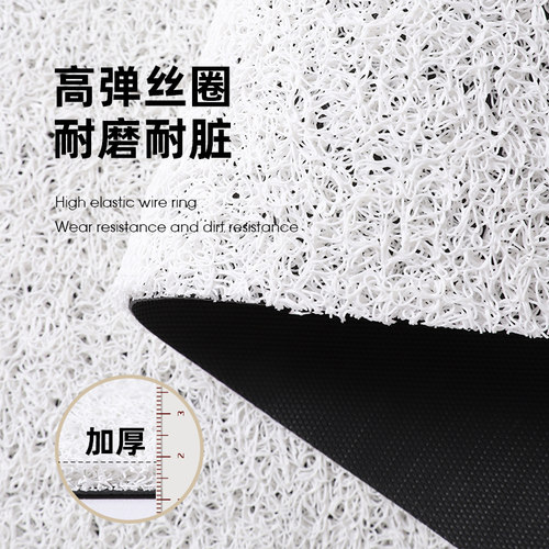 入户门地垫可爱卡通家用玄关丝圈耐脏防滑脚垫可剪裁pvc地毯垫子 - 图3