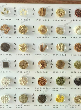 中药标本展示框中草药材