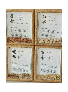 中医文创中药标本展示画