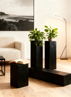 侘寂风碳化木墩子黑色实木花架