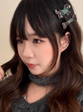 秋冬季复古腊肠小狗发夹组合可爱小骨头刘海夹少女百搭碎发夹发饰
