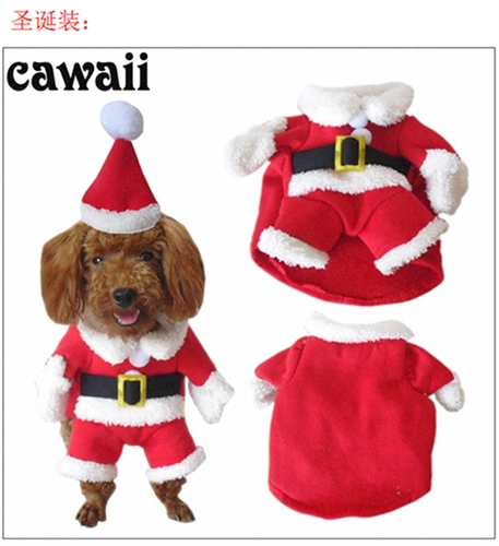 Pet Christmas Pet Droug