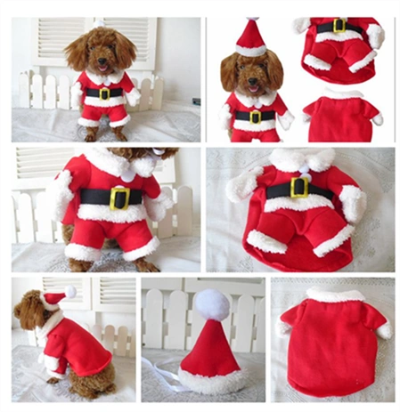 Pet Christmas Pet Droug