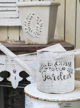 复古怀旧洒水壶花园花器装饰摆件