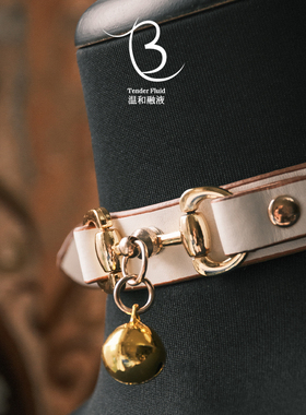 秘密K9铃铛链条项链皮质