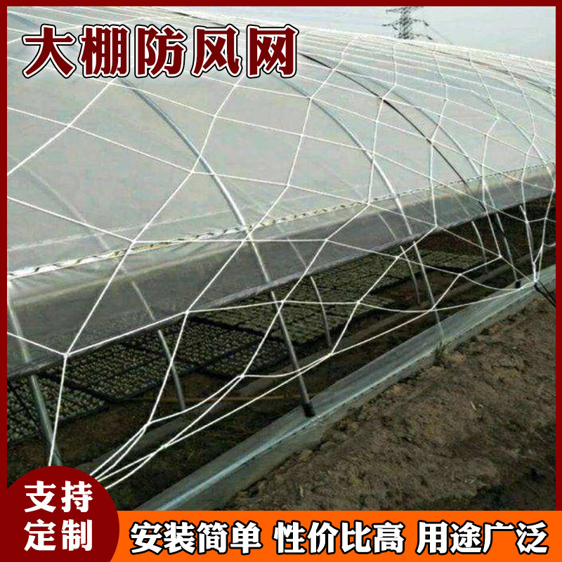大棚抗风网：守护农业设施的关键屏障 (蔬菜大棚抗风能力)-初仟社区