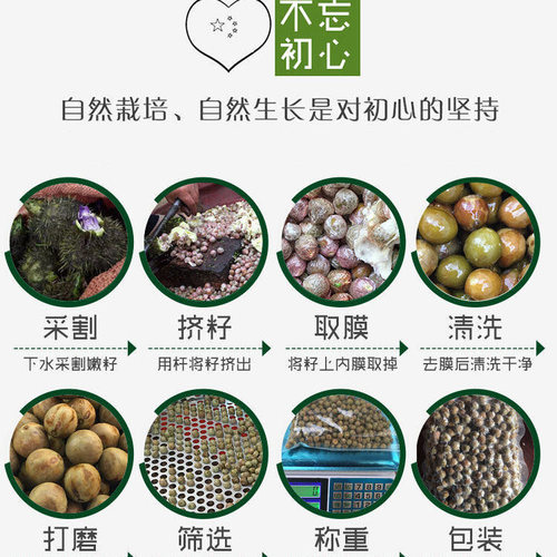 新货河南信阳鸡头果二青中籽新鲜带壳小果鸡头米芡实米果500g包邮 - 图0
