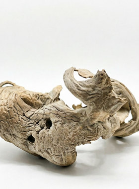 枯木树根造景设计插花风化木枯树枝禅意摆件枯木创意树桩沉木微景