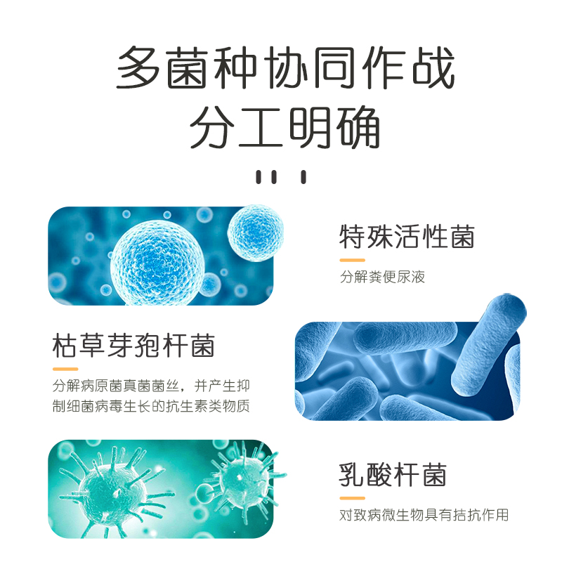 yee仓鼠白杨木片粒可分解生物垫料降解夏季除臭金丝熊花枝鼠用品-图1