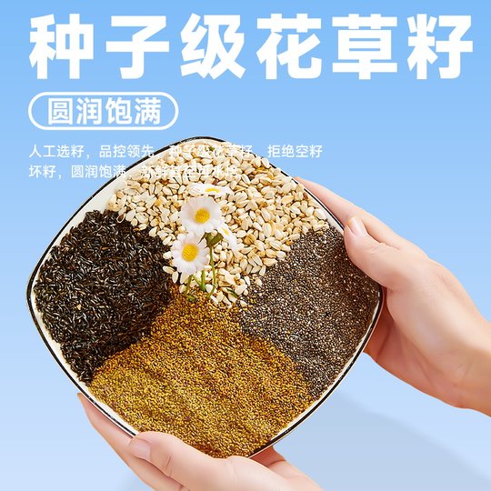 SF yee parrot probiotic bird food