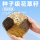 SF yee parrot probiotic bird food