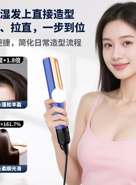 戴师傅HT01干湿两用直发器