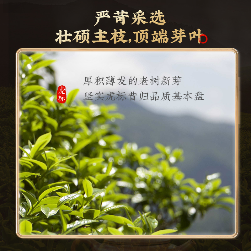 虎标新品普洱生茶昔归茶叶生普春茶200g古树临沧普洱茶