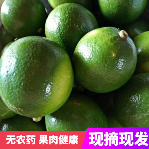 一级精品 台湾无籽四季青柠檬新鲜香水柠檬5斤包邮 皮薄多汁香味 - 图2