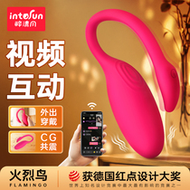 The Phantom Fire Bird Wearables JUMP EGG FEMALE SELF-SOLVER WIRELESS REMOTE CONTROL OUT OF SEXUAL PLEASURE JUMPING WOMENS ITEMS