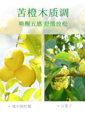 维蕾德柑橘清新保湿按摩油100ml