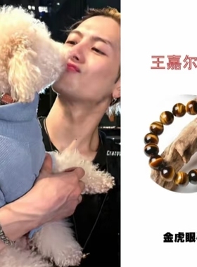 白敬亭王嘉尔同款7A级天然黄虎眼石南非虎睛石猫眼石手串高级小众