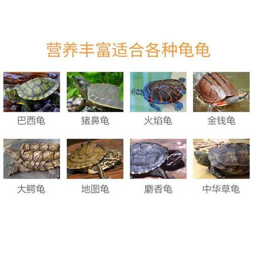 海豚两栖动物粮海豚龟粮龟食陆龟巴西龟黄头龟长寿龟草龟专用饲料 - 图1