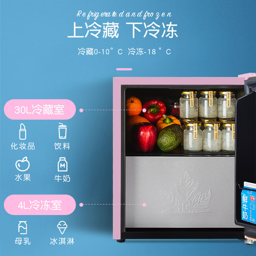 HCK哈士奇小冰箱单门式冷藏冷冻迷小型家用办公室婴儿储存奶冰箱 - 图1