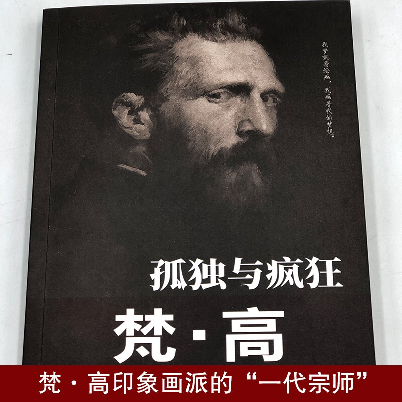 正版速发 全5册孤独与疯狂 梵高 历史人物名人传记书籍真理的殉道者自由的奠基人荷兰后印象派画家梵高的一生 梵高人物传记书 - 图0