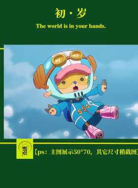 DIY数字油画海贼王医生乔巴新款环保丙烯颜料简单亲子手绘画礼品