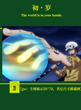 DIY数字油画海贼王特拉法尔加罗环保丙烯颜料简单亲手绘画礼挂画