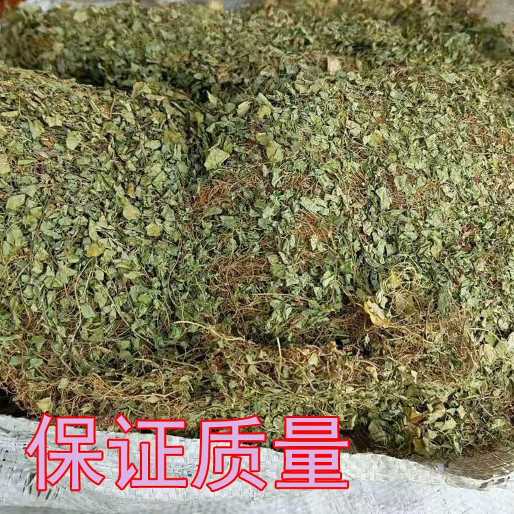 新货马蹄金中药材野生结石肾黄胆草螺丕草小叶金钱草马蹄草1斤 - 图2