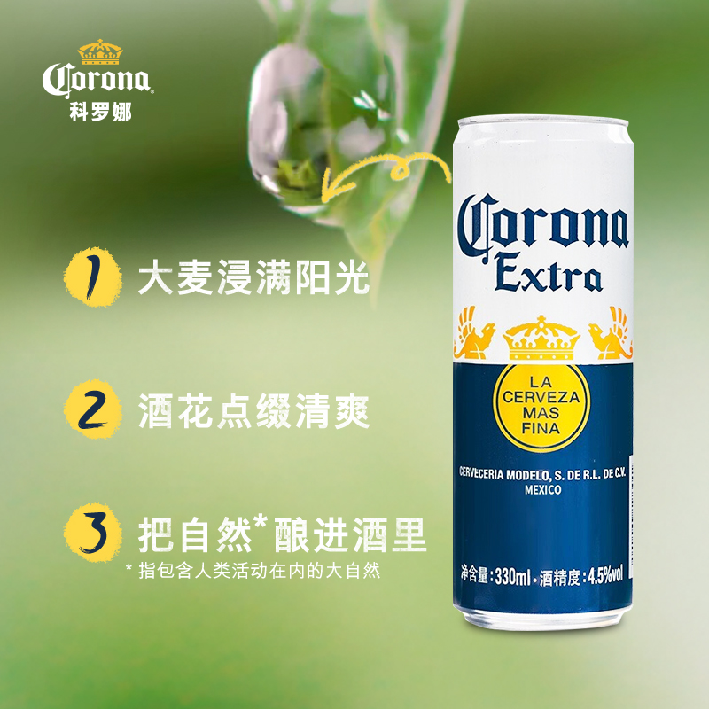 CORONA科罗娜墨西哥风味啤酒330ml*24听官方旗舰店整箱装听装 - 图2