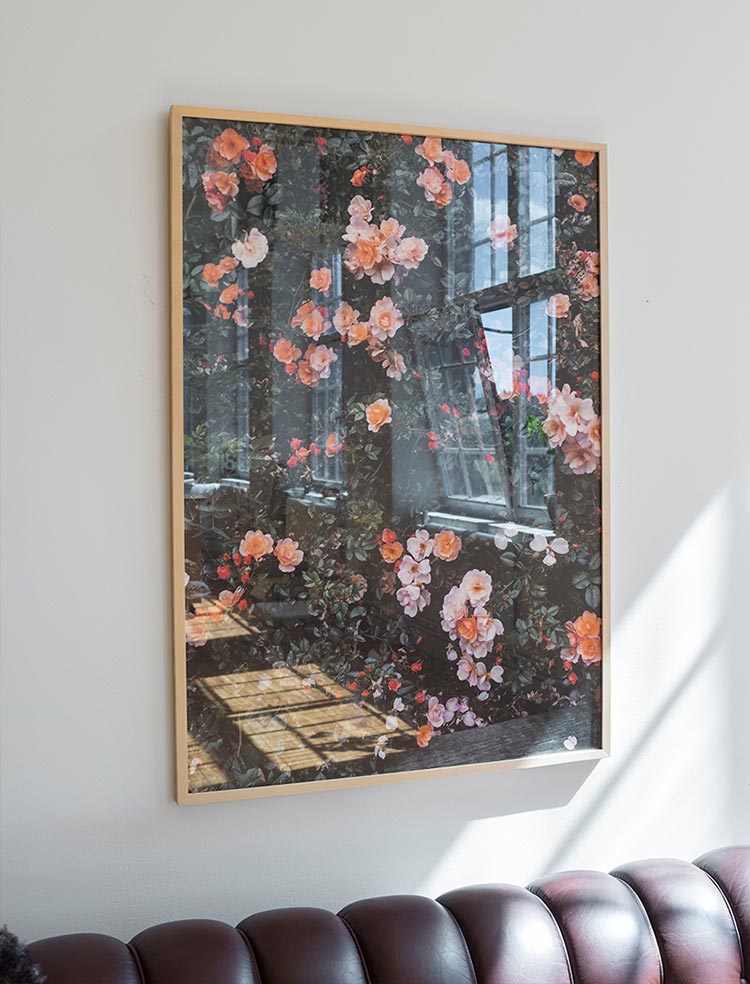 丹麦摄影海报 玫瑰花ROSES POSTER 客厅卧室餐厅家居装饰画芯 - 图0