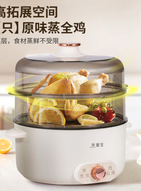 华生家用多功能锅电蒸锅