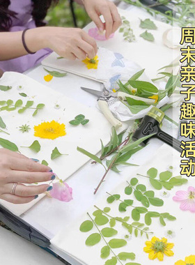 马利幼儿园植物树叶敲锤染工具套装儿童拓印锤敲手工套装方巾蜡染