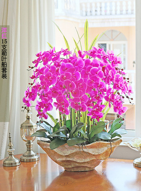 手感仿真绿植盆栽室内干花蝴蝶兰
