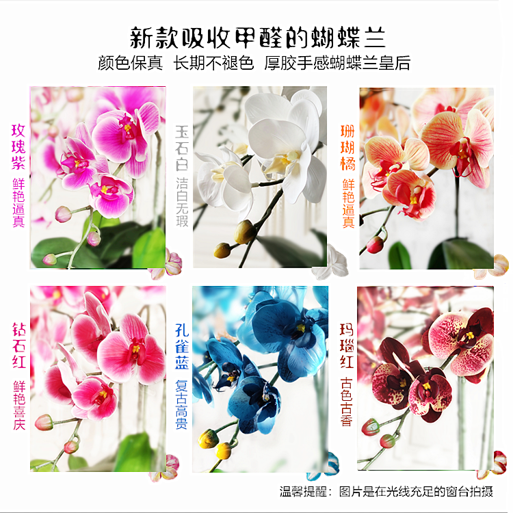Высококачественная новая фиалка-орхидея Phalaenopsis Поддельный цветок для гостиной декоративное растение зеленый цветок всасывающий формальдегид