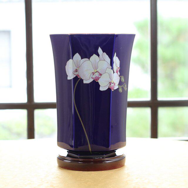 胡蝶兰 新人首单立减十元 21年8月 淘宝海外