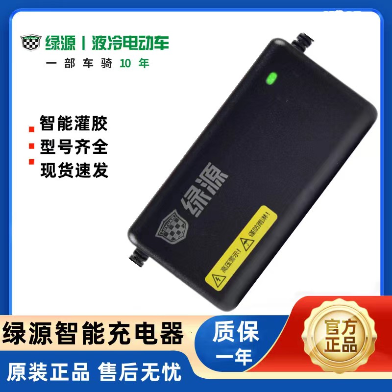 绿源电动车充电器铅酸电瓶车充电器48V60V72V20E30E40E-T2T4T - 图1