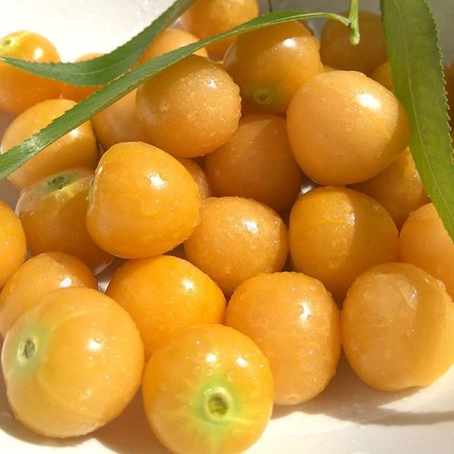 菇娘合集粒粒甜黄菇娘紫菇娘红菇娘俄罗斯大菇娘 - 图0