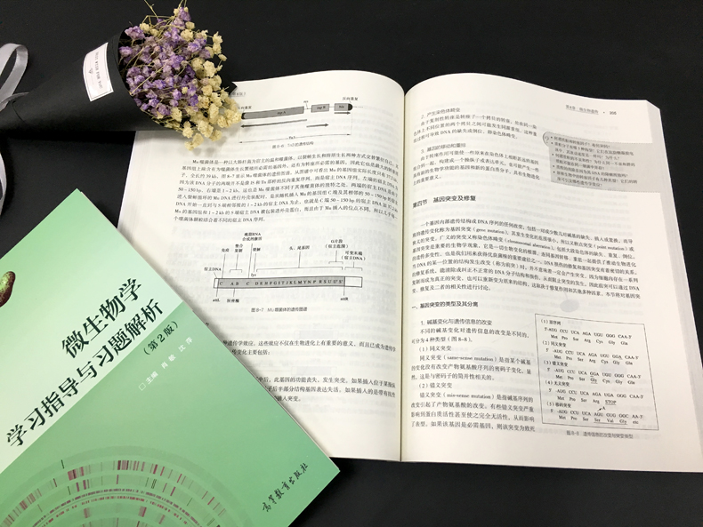 现货包邮】微生物学 第八版第8版 教材+微生物学学习指导与习题解析 第二版第2版 沈萍 微生物学教材 高等教育出版社 - 图1