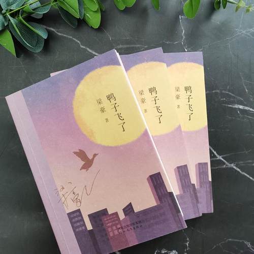 RT69包邮 鸭子飞了河北教育出版社小说图书书籍 - 图0