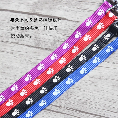 Ходячая собачья веревка маленькая собака Тедди собака