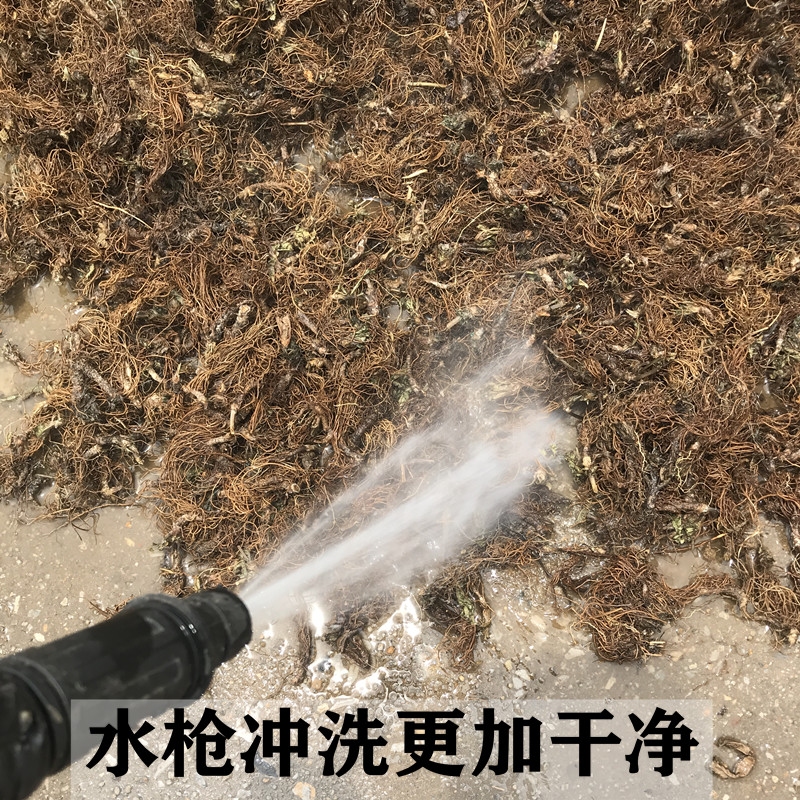 地胆头干货新鲜 广东煲汤料红花地斩头深山地胆草根正品500g包邮 - 图2